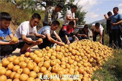 哈喇河镇吃瓜,夏日美食之旅
