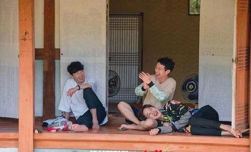 顶楼全员吃瓜,全员吃瓜，揭秘神秘事件背后真相