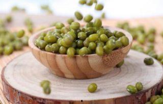 宝宝吃绿豆瓜,绿豆瓜营养食谱分享