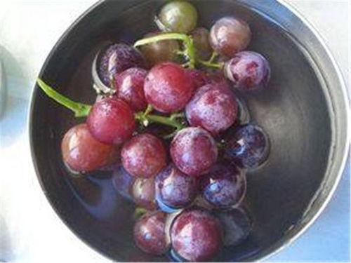 大瓜和葡萄能一起吃吗,大瓜与葡萄同食的真相揭秘